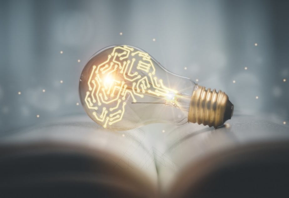 Intellectual Property Insurance (IPI)